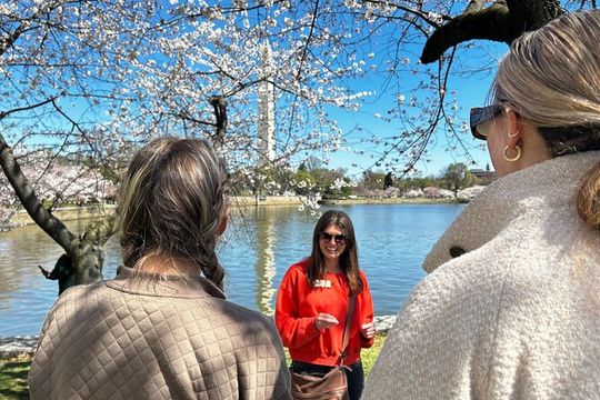 DC in Spring: Cherry Blossom & Tidal Basin Memorials Walking Tour