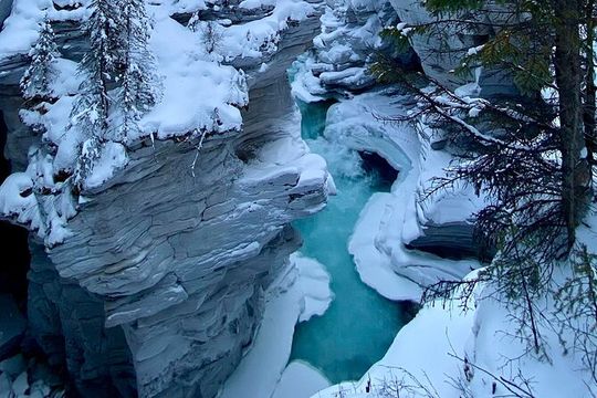 Private Full Day Icefield Parkway Tour