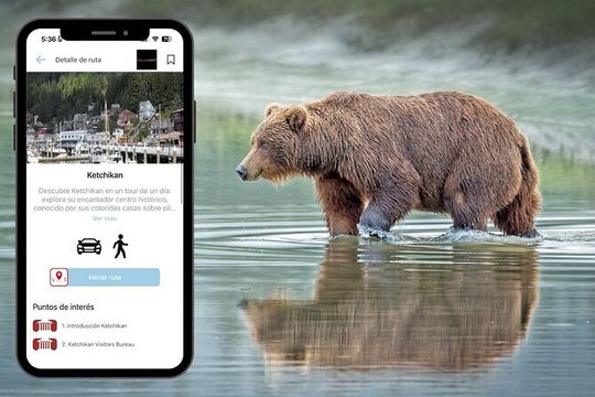 Road Trip through Alaska