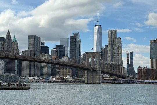 Manhattan to DUMBO Brooklyn Minibus Walk Tour