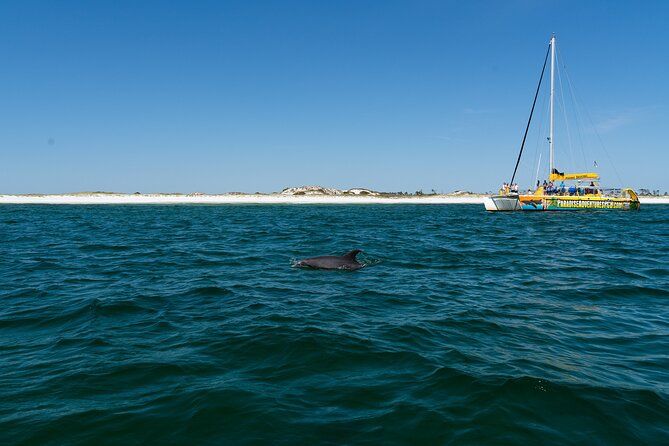 Dolphin Sightseeing Tour on Lazy Daze