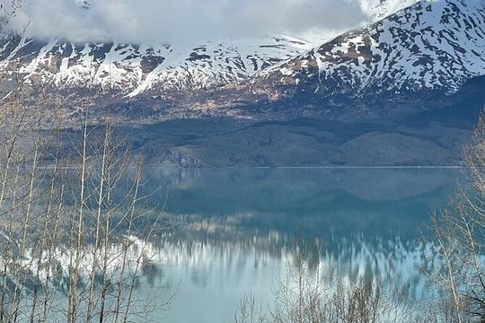 Full Day Seward Tour