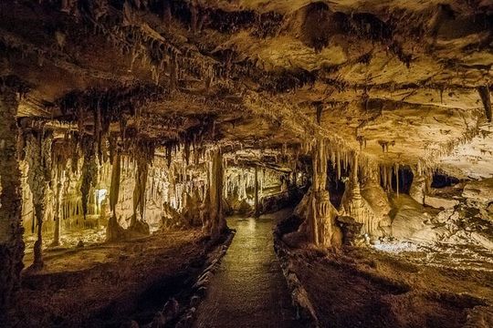 Great Basin National Park Private Two Day Highlights Adventure