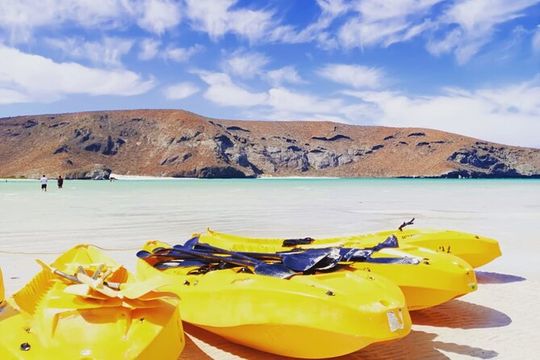 Balandra and Todos Santos Beach Tour from Los Cabos