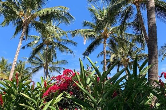 North Shore Highlight Tour