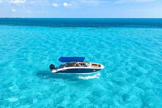 Yacht Rental 28 FT Sea Ray