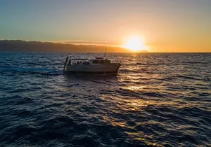 Whale Watching on "The World Famous North Shore of Oahu", Hawaii