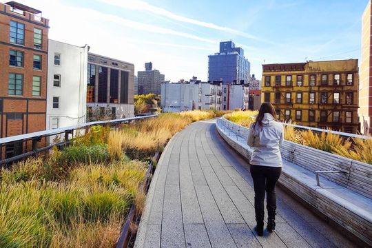 NYC Midtown Sightseeing Tour and Hudson Yards