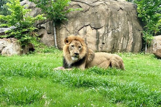 Audubon Zoo, Aquarium, and Insectarium Combo Ticket