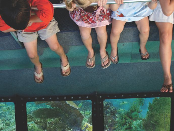 Key West Glass Bottom Boat Reef Eco Tour with Sunset Option Image 2