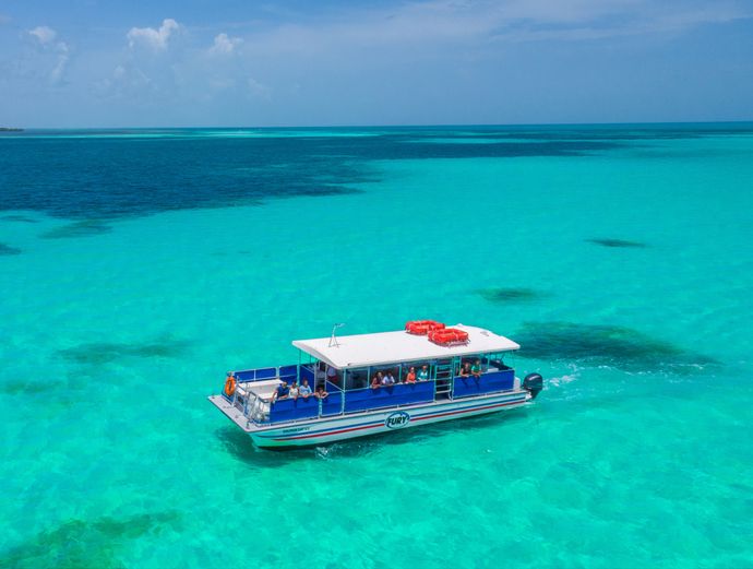 Key West Dolphin Watch & Snorkel Combo Image 3