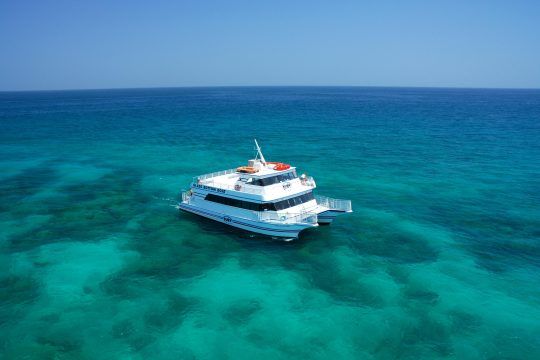 Key West Glass Bottom Boat Reef Eco Tour with Sunset Option