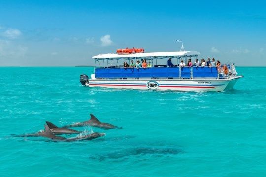 Key West Dolphin Watch & Snorkel Combo