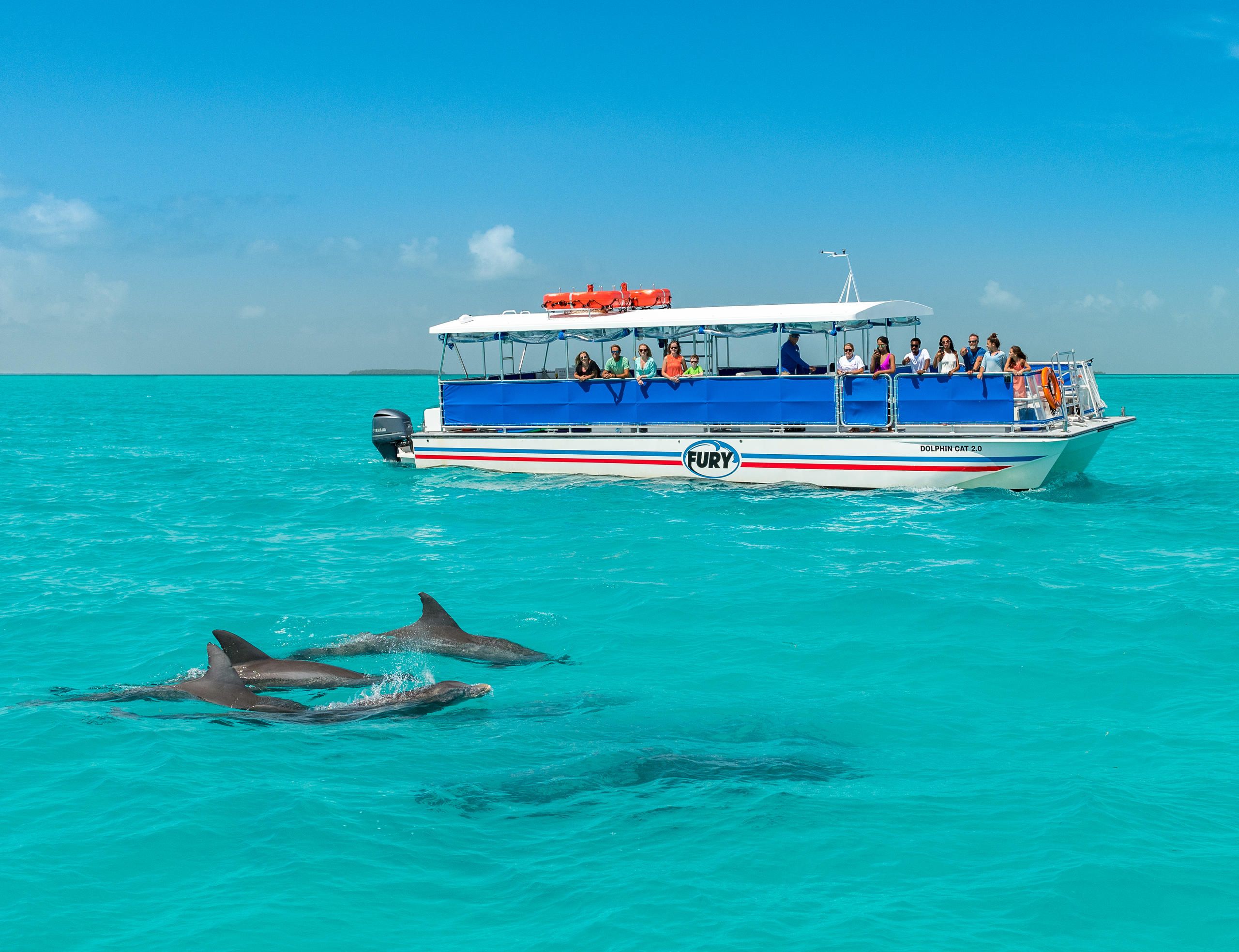 Key West Dolphin Watch & Snorkel Combo