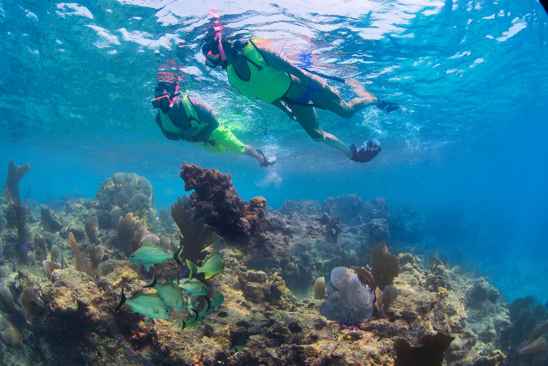 Key West Rum & Reggae Snorkeling Sunset Sail Combo