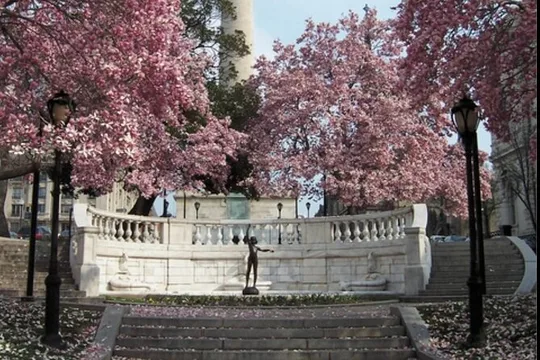 Mount Vernon & The Millionaires, 2 hour walking tour