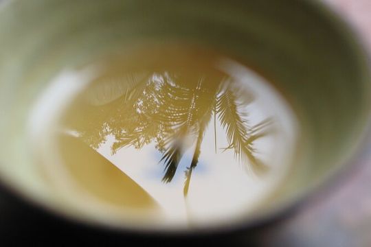 Private Cha Dao Tea Ceremony