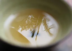 Private Cha Dao Tea Ceremony