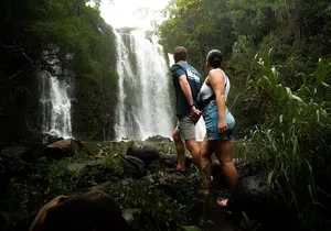 Private Hana Waterfall Jungle Hike Professional Photos Optional