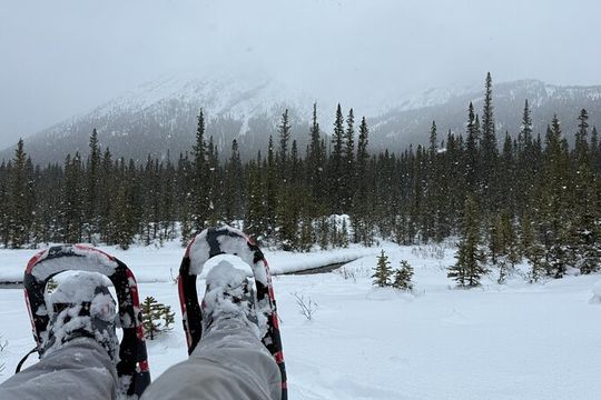 Canmore 2 Hour Guided Snowshoeing Adventure with Transportation