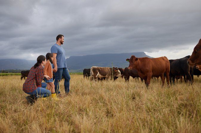 Heritage Farmland & Flavors of SYV: Cattle Ranch-to-Picnic Lunch