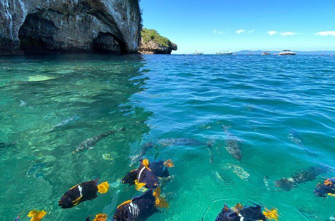 Snorkel & Epic Boat Ride to Los Arcos Sanctuary