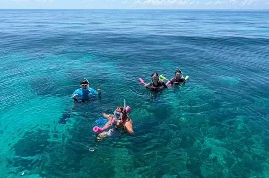 Private 4-Hour Snorkel Charter. Snorkel Gear Included!
