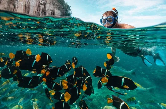 Snorkel & Epic Boat Ride to Los Arcos Sanctuary