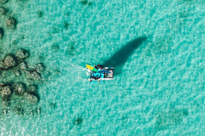 Bacalar : Private Catamaran Tour with Drinks, Snacks and Photos.