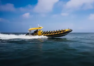 Kailua-Kona Adventure Whale Watch