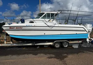 26 Foot Glacier Bay 6 Hour Charter