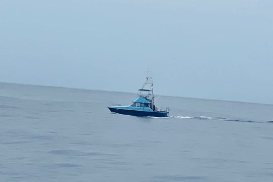 35 foot Bertram 4 Hour Charter