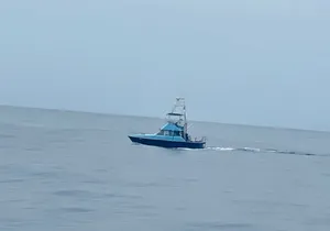 35 foot Bertram 4 Hour Charter