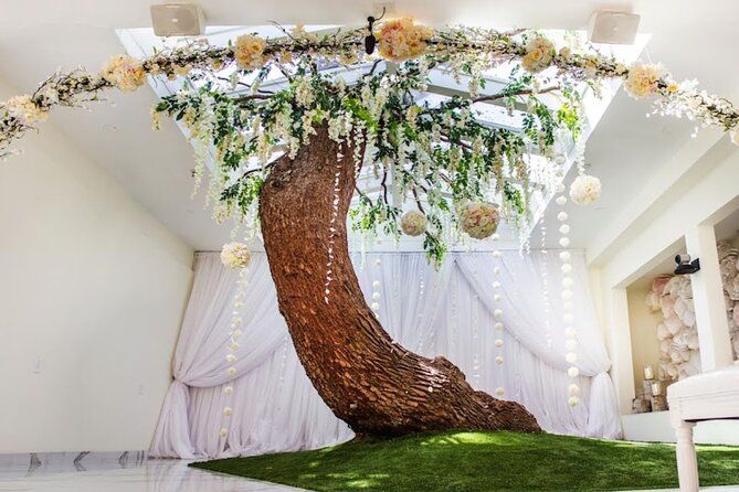 Las Vegas Wedding Photo Tour up to 14 guest