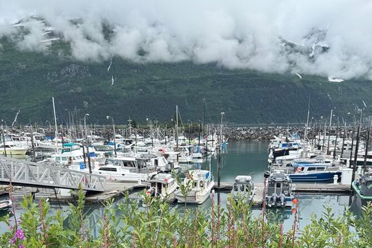 Whittier Drive and Coastal Alaska Full Day Adventure