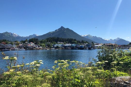 Nature Lovers Sitka Hiking Tour / Beaches, Trails + Scenic Points