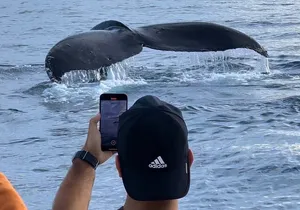 Oahu Boat Tour Ko Olina Experience