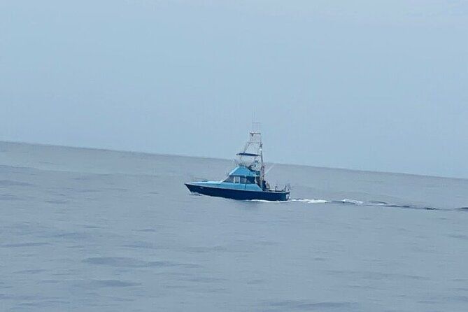 35 Foot Bertram 6 Hour Charter