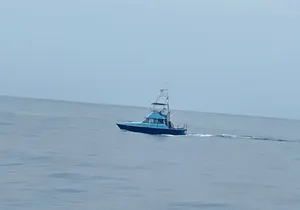 35 Foot Bertram 6 Hour Charter