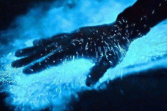 Bioluminescence and sunset by boat to Los Arcos de Mismaloya