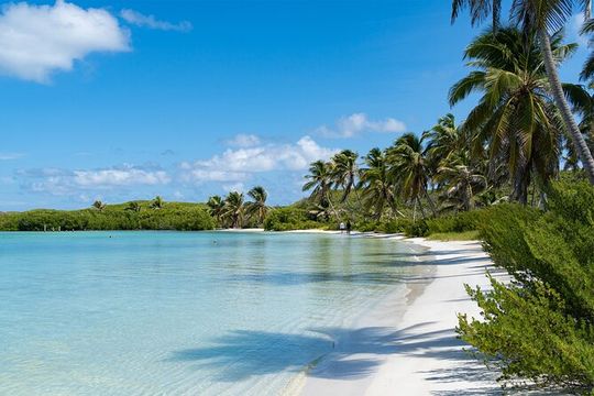 Private Isla Contoy and Isla Mujeres Tour with Snorkeling