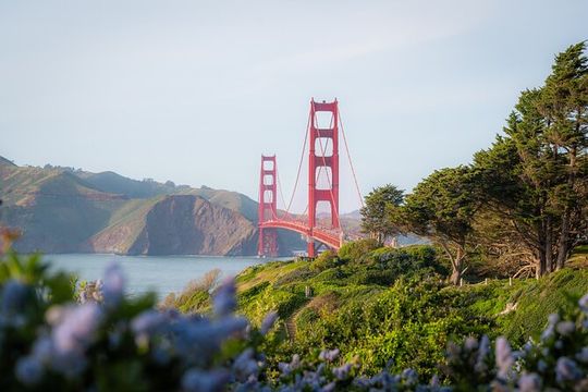 San Francisco Private Half Day City Highlights Tour