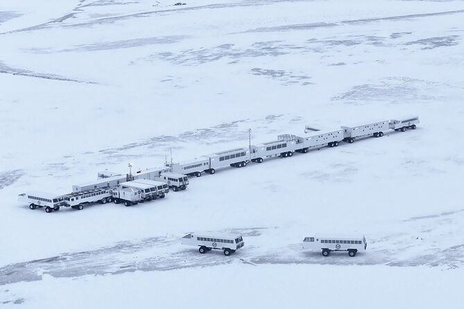 Tundra Buggy Lodge Polar Bears Adventure