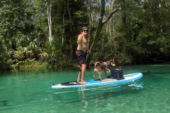 Pet Friendly Weeki Wachee Springs Guided Paddleboard Tour