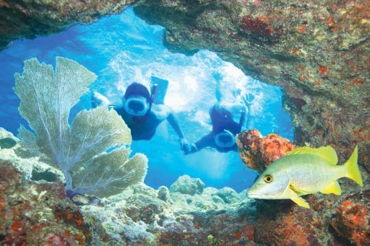 Key West Afternoon Snorkeling Trip with Margaritas