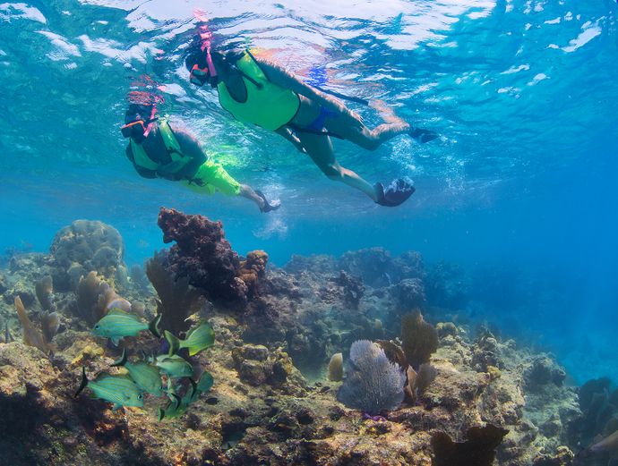 Key West Morning Snorkel Trip Image 3