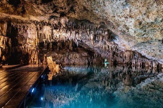 The Best Cenotes in Playa del Carmen Private Tour