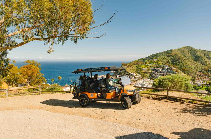 Experience Avalon Like a Local Private Golf Cart Adventure