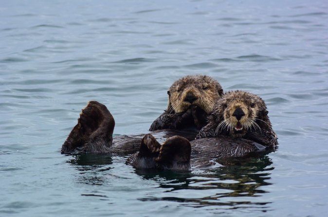 Private Guided 10 Passenger Tour to Sitka