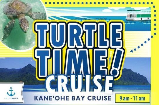 Turtle Time Cruise at Kaneohe Bay Sandbar